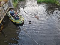 Tierrettung am 27. Juni