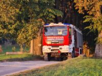 Einsatz: Rettung Großtier am 1. Juli