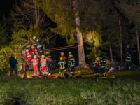 Übung Forstunfall